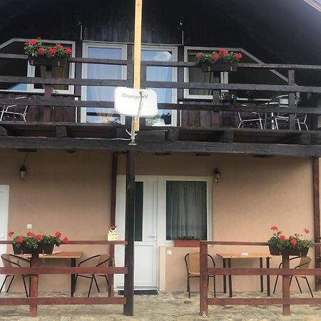 Casa Albert Valea Avrigului 외부 사진